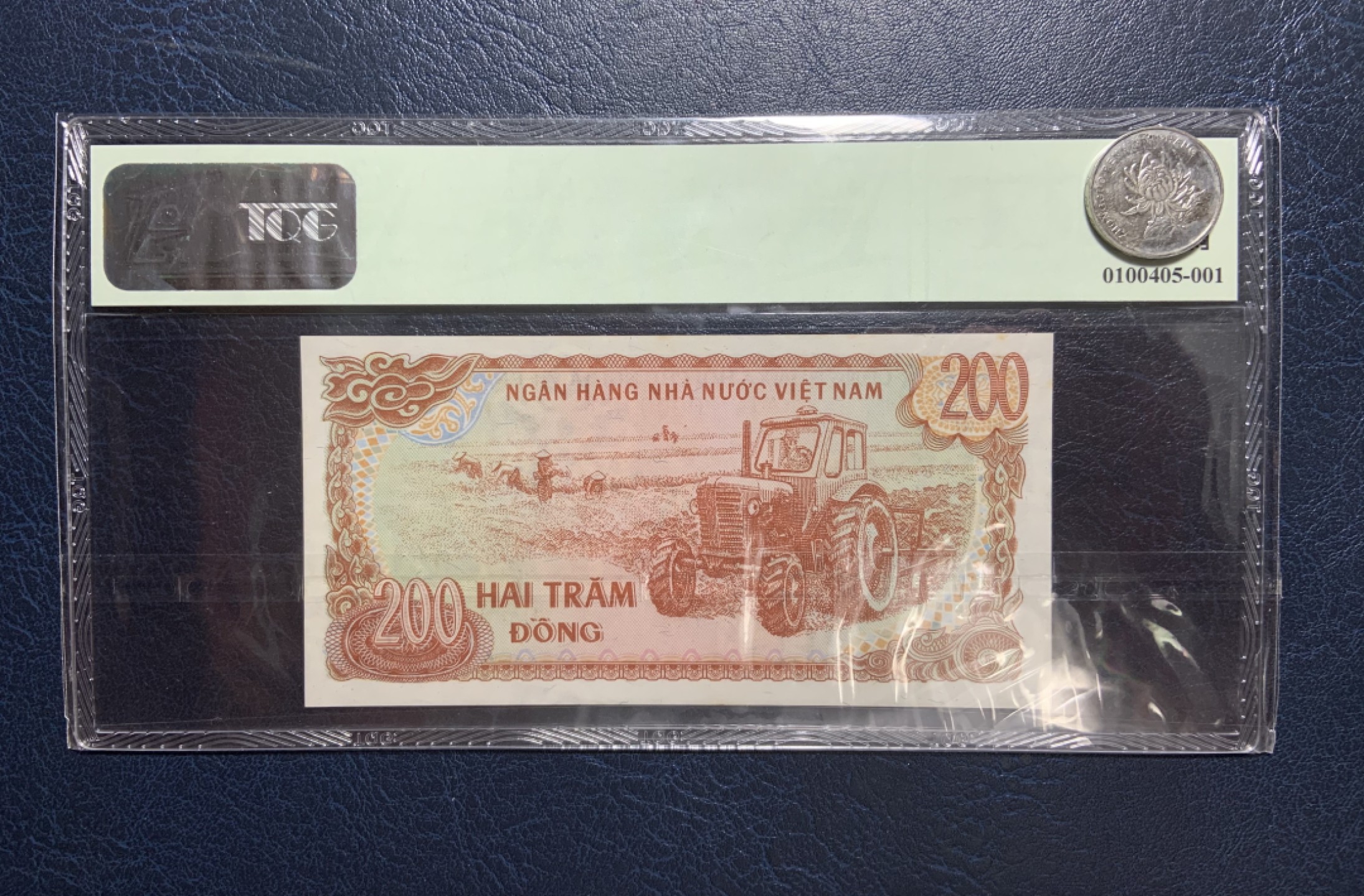 收藏联盟Quantum Auction 第180期拍卖 今晚七点开拍 越南1987年200盾 TQG64 样票