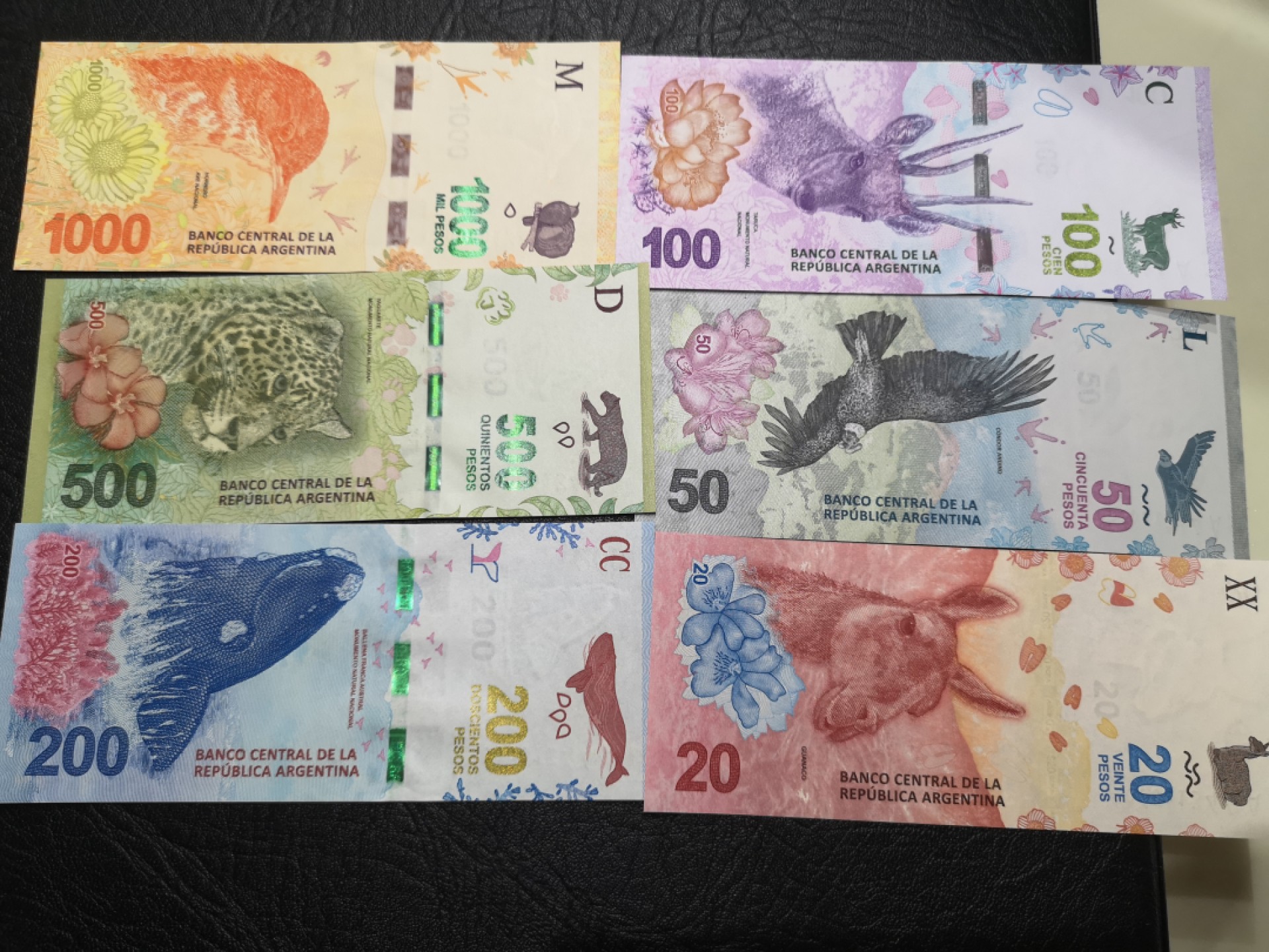 《外钞收藏家》第一百九十二期 阿根廷最新版一套六张 全新UNC 与下面两套为全同号 千位号