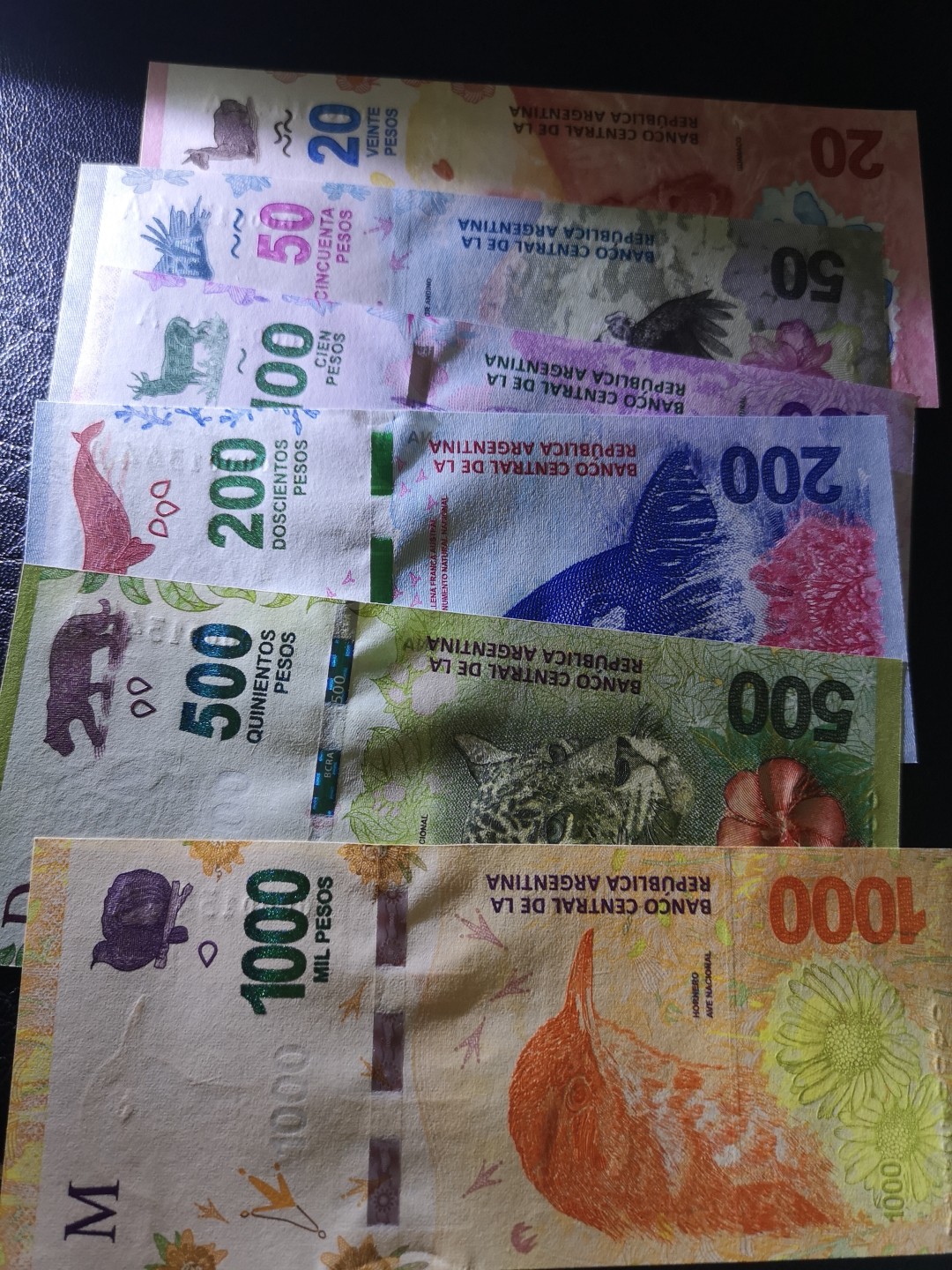 《外钞收藏家》第一百九十二期 阿根廷最新版一套六张 全新UNC 与下面两套为全同号 千位号