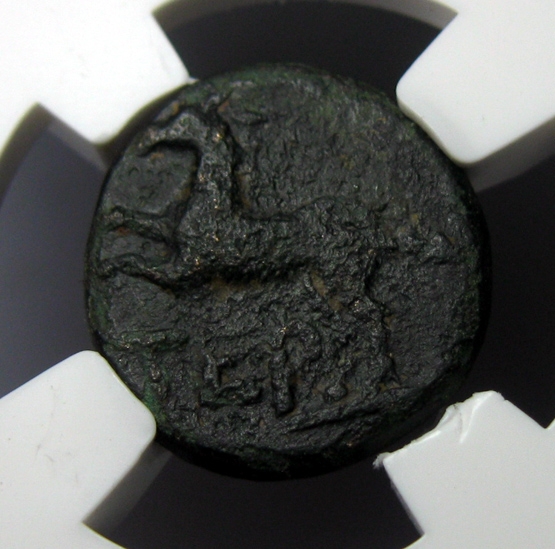 古希腊铜币,皮西迪亚特梅索斯城,宙斯,奔马BC61-39,1德拉克马，约14.8mm,3.6g,自打标签盒子R0720jx