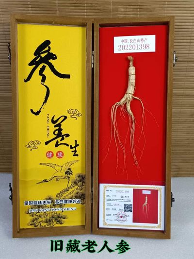 旧藏千年老人参，喜欢的联系 - 旧藏千年老人参，喜欢的联系