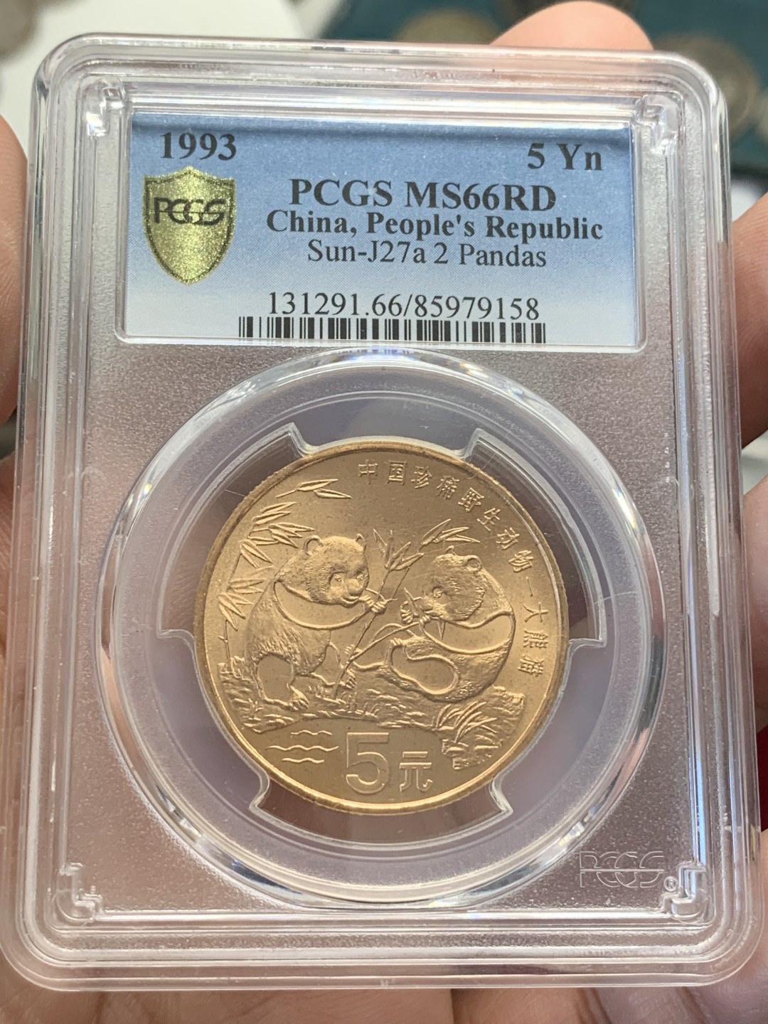 《竞宝斋》第80场-本周日，周一 2场连拍（全场不限金额包邮） 1993 中国熊猫5元铜币 PCGS MS-66RD 高分熊猫铜币，全品无氧化，金光闪闪