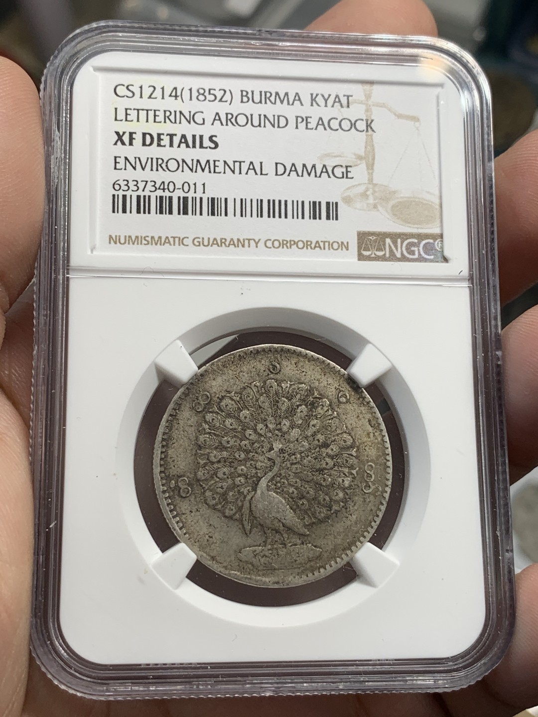 《竞宝斋》第80场-本周日，周一 2场连拍（全场不限金额包邮） NGC XF 缅甸 1852年  孔雀 1k 银币 主币 原味的细节 整体保存的非常好
