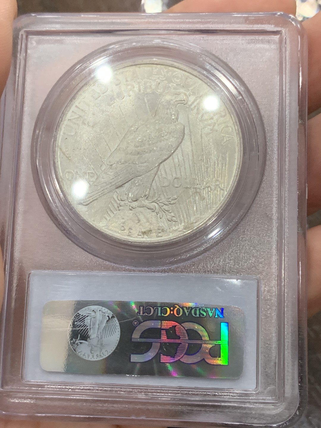 《竞宝斋》第80场-本周日，周一 2场连拍（全场不限金额包邮） PCGS MS64 美国1923年和平大银币 原光好品