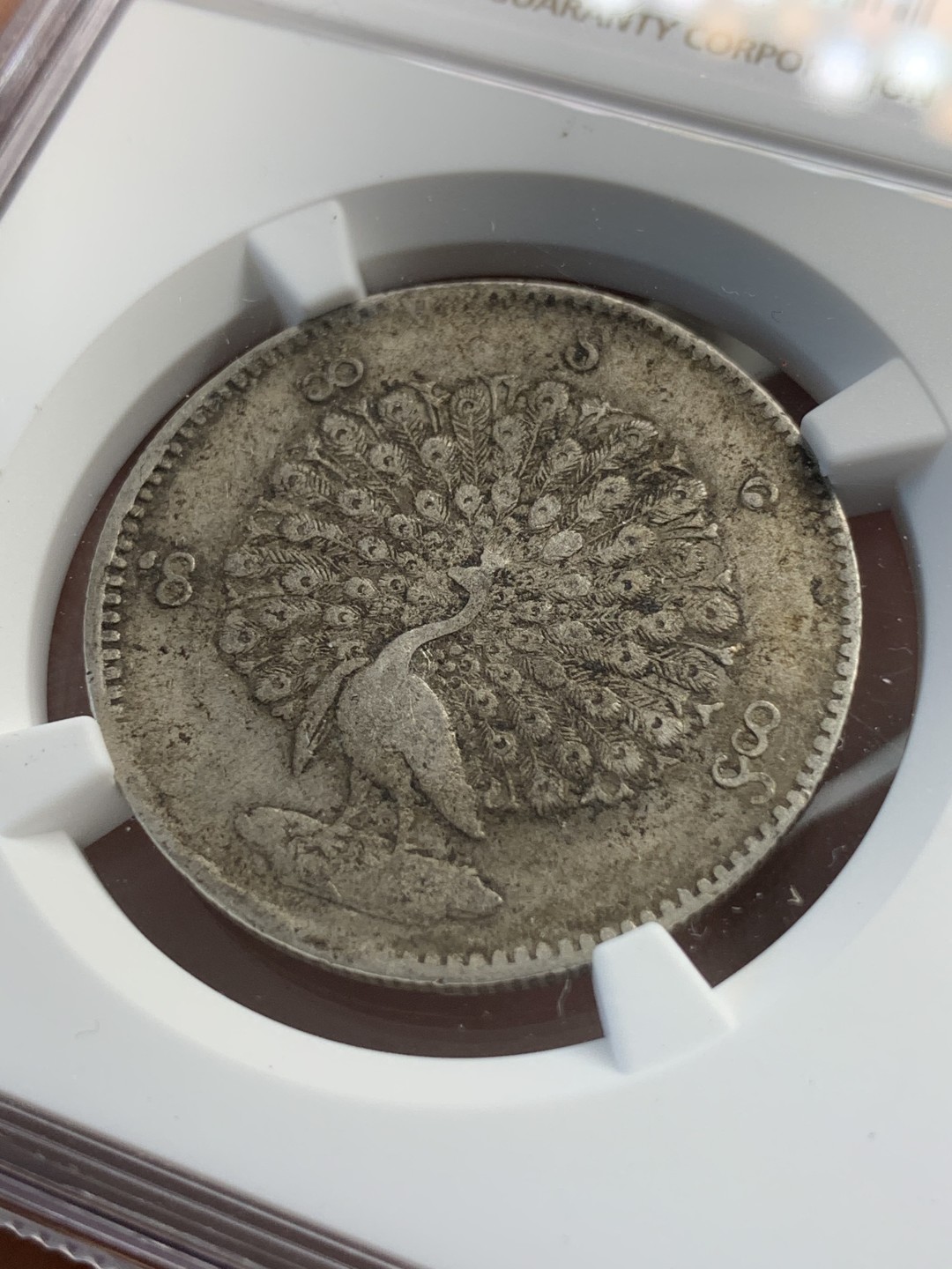 《竞宝斋》第80场-本周日，周一 2场连拍（全场不限金额包邮） NGC XF 缅甸 1852年  孔雀 1k 银币 主币 原味的细节 整体保存的非常好