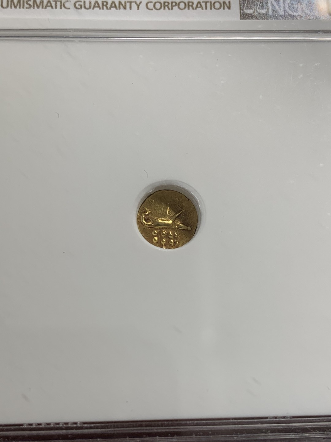 《竞宝斋》第80场-本周日，周一 2场连拍（全场不限金额包邮） NGC-MS63 印度1795年 坎钦FANNAM金币 这分数已经很不错了