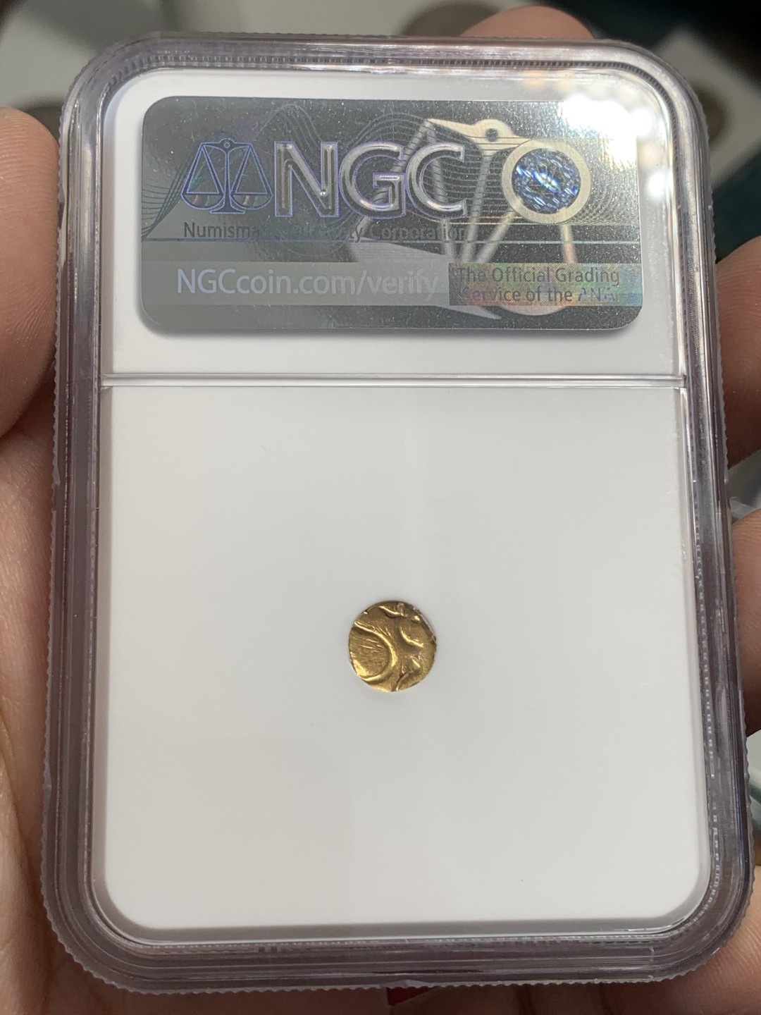 《竞宝斋》第80场-本周日，周一 2场连拍（全场不限金额包邮） NGC-MS63 印度1795年 坎钦FANNAM金币 这分数已经很不错了