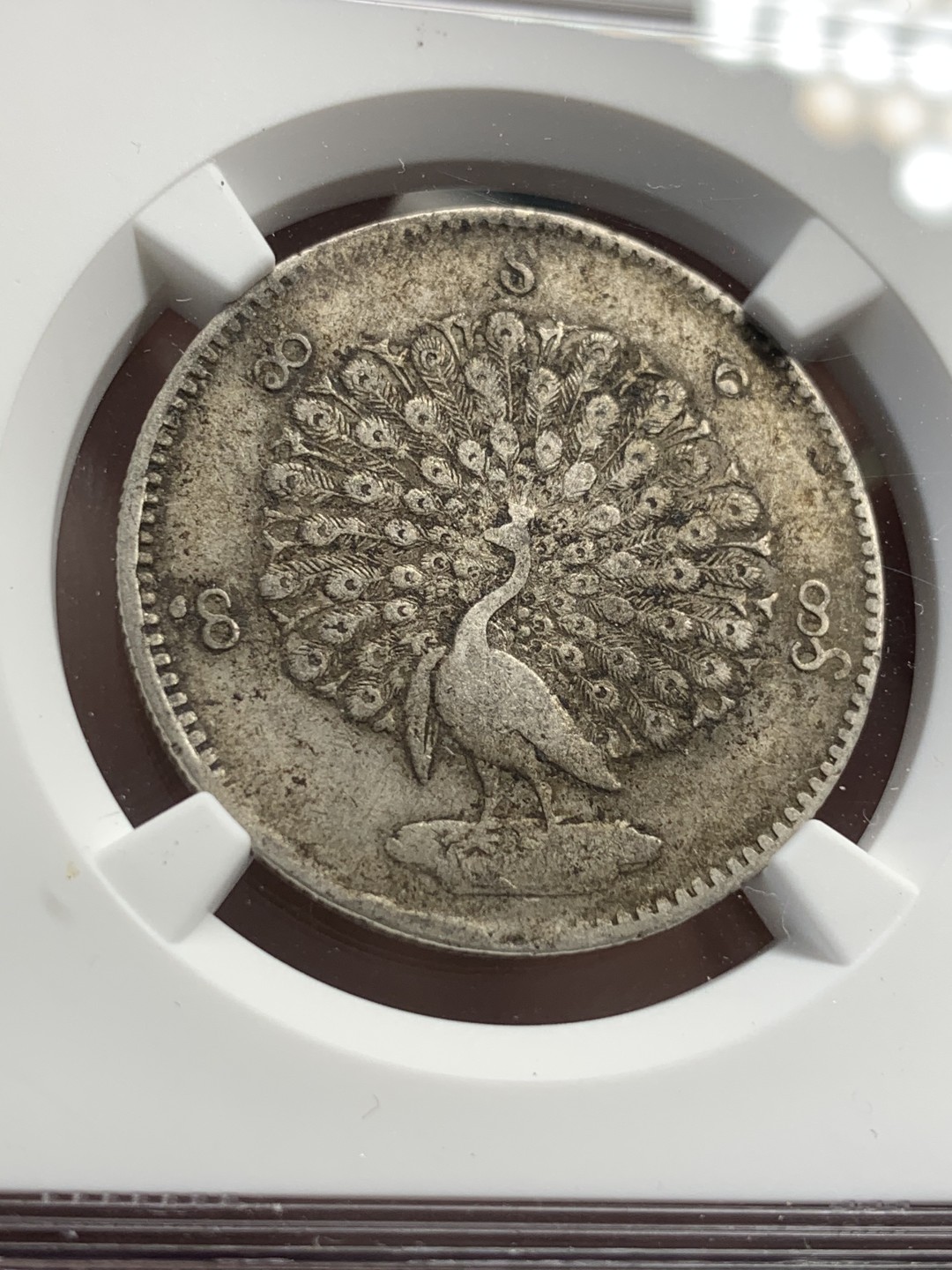 《竞宝斋》第80场-本周日，周一 2场连拍（全场不限金额包邮） NGC XF 缅甸 1852年  孔雀 1k 银币 主币 原味的细节 整体保存的非常好