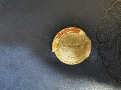 解放华中南纪念章 - 解放华中南纪念章