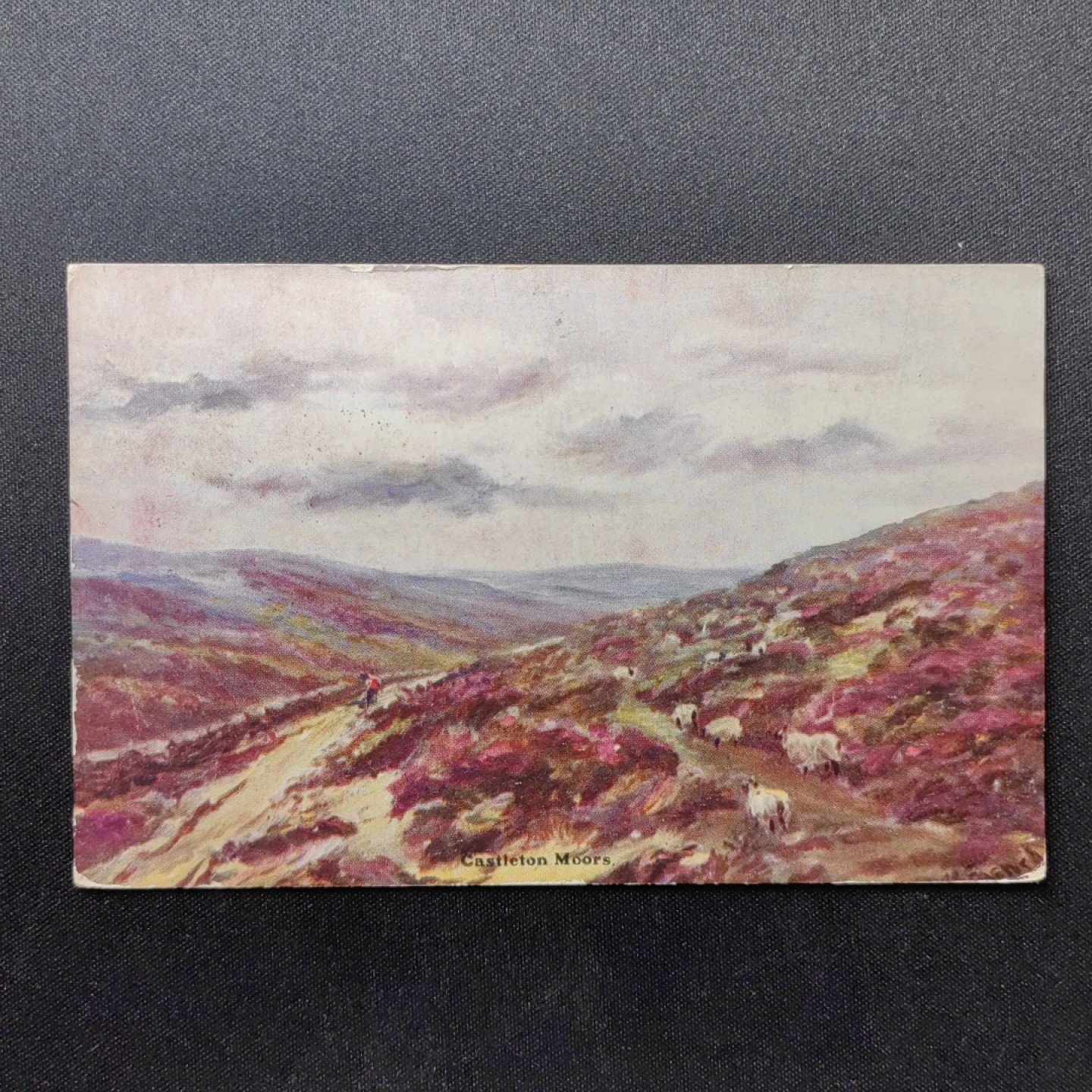 油画风格新专场 羊群