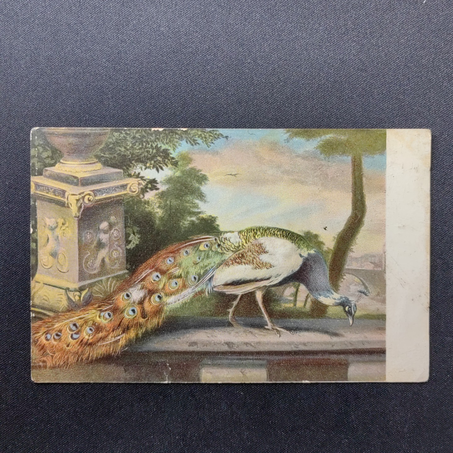 油画风格新专场 皇宫中的孔雀