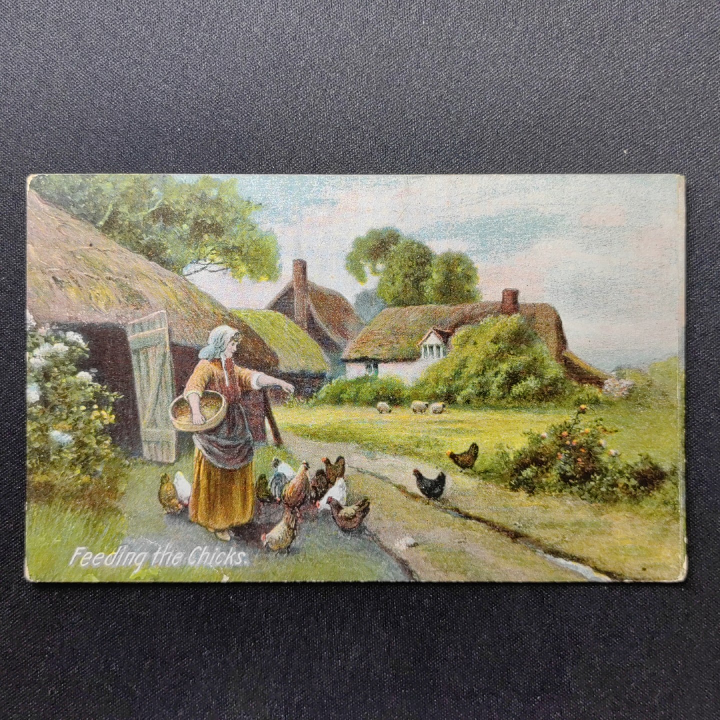 油画风格新专场 喂小鸡