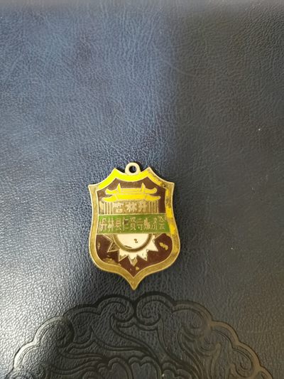 宫林丹赈济会纪念章 - 宫林丹赈济会纪念章