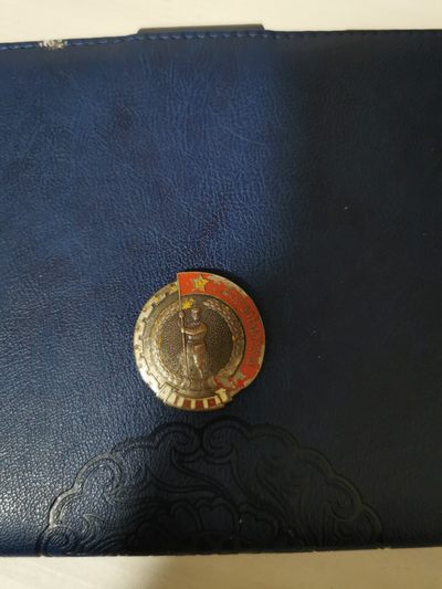 解放华中南纪念章 - 解放华中南纪念章