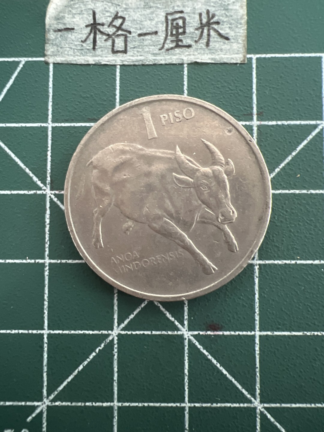 泡泡堂第四十四期  世界硬币邮票专场（无押金，无佣金，捡漏，全场20包邮，偏远地区除外） 菲律宾一皮大币