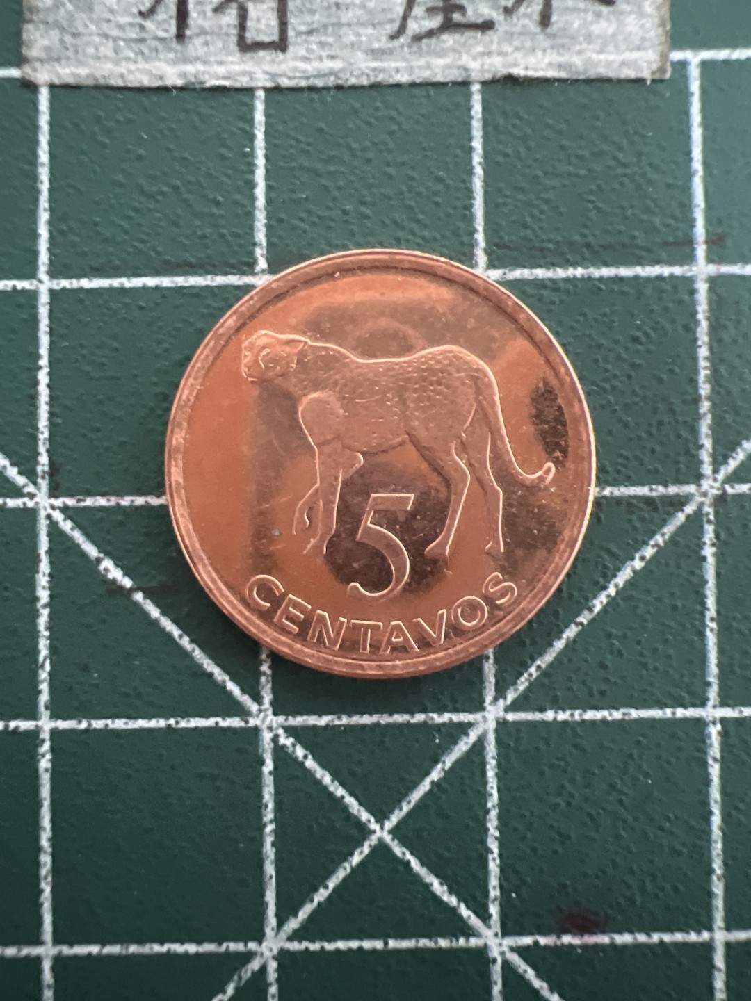 泡泡堂第四十四期  世界硬币邮票专场（无押金，无佣金，捡漏，全场20包邮，偏远地区除外） 莫桑比克5分