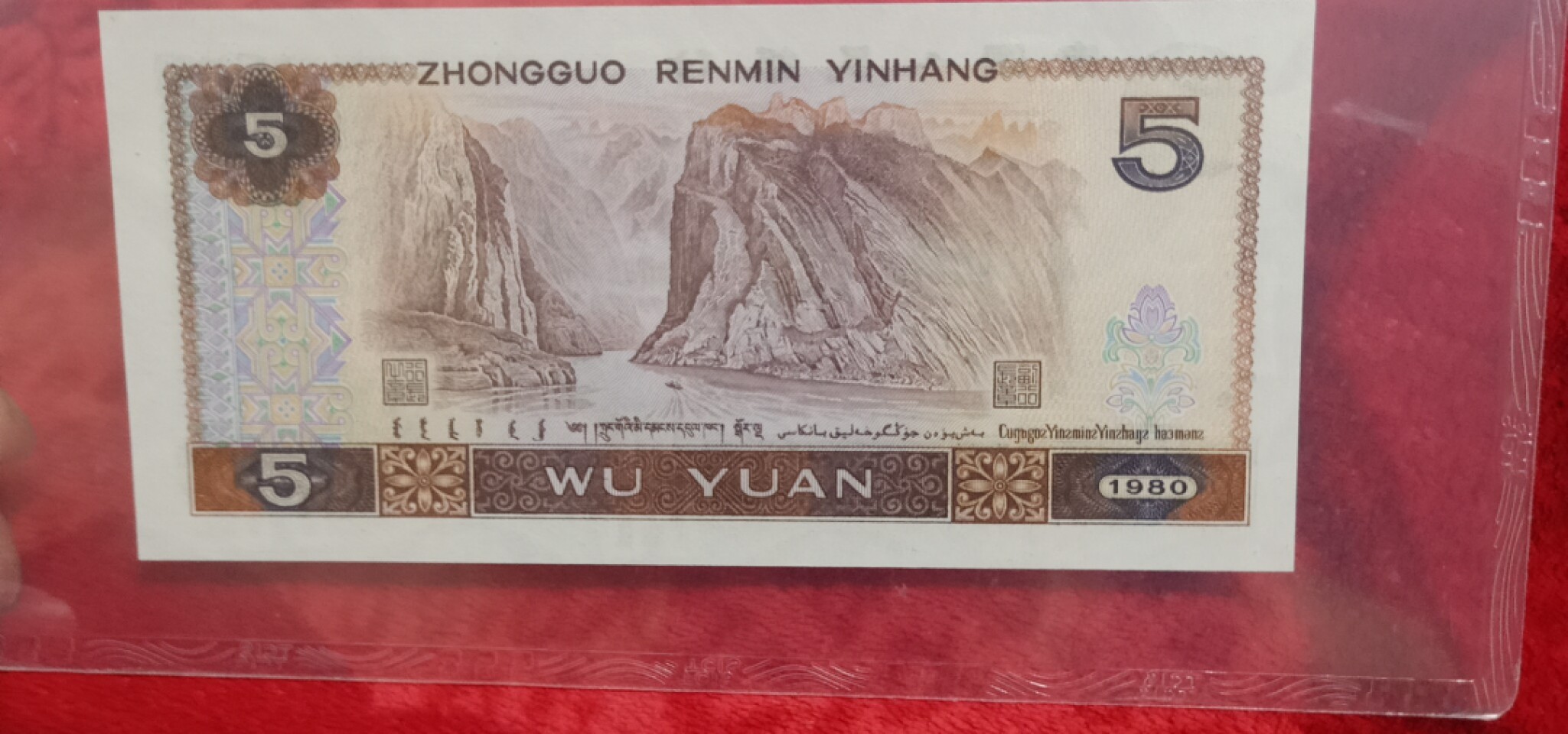 小英专心拍第577期 805红光蓝鹤一张，靓号天印评级