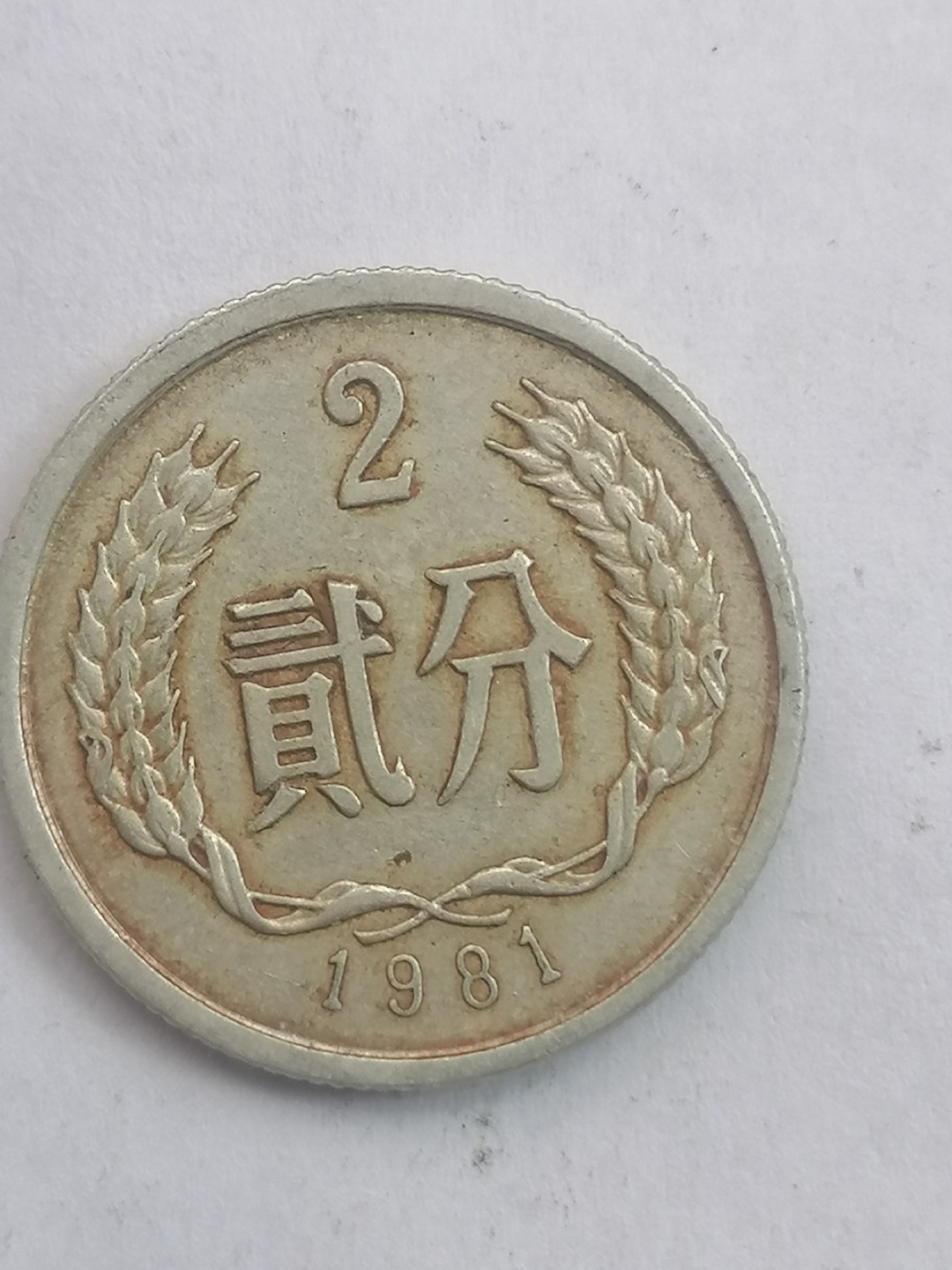 叶子古钱币专场5期 81年二分