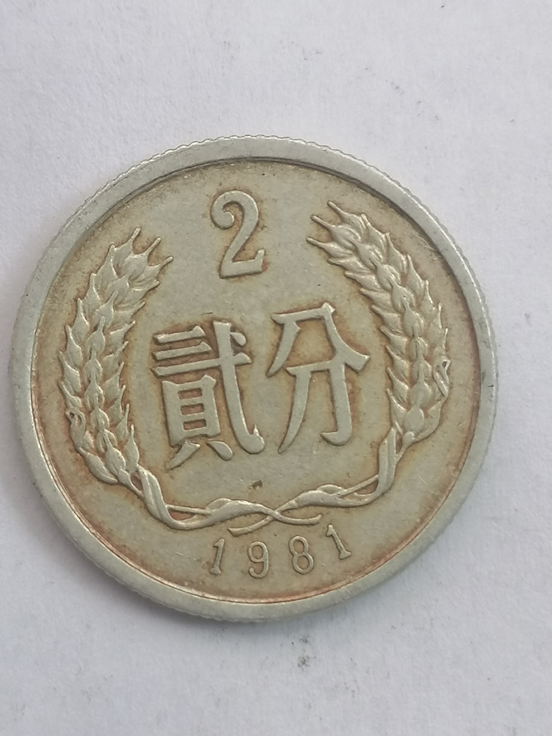 叶子古钱币专场5期 81年二分