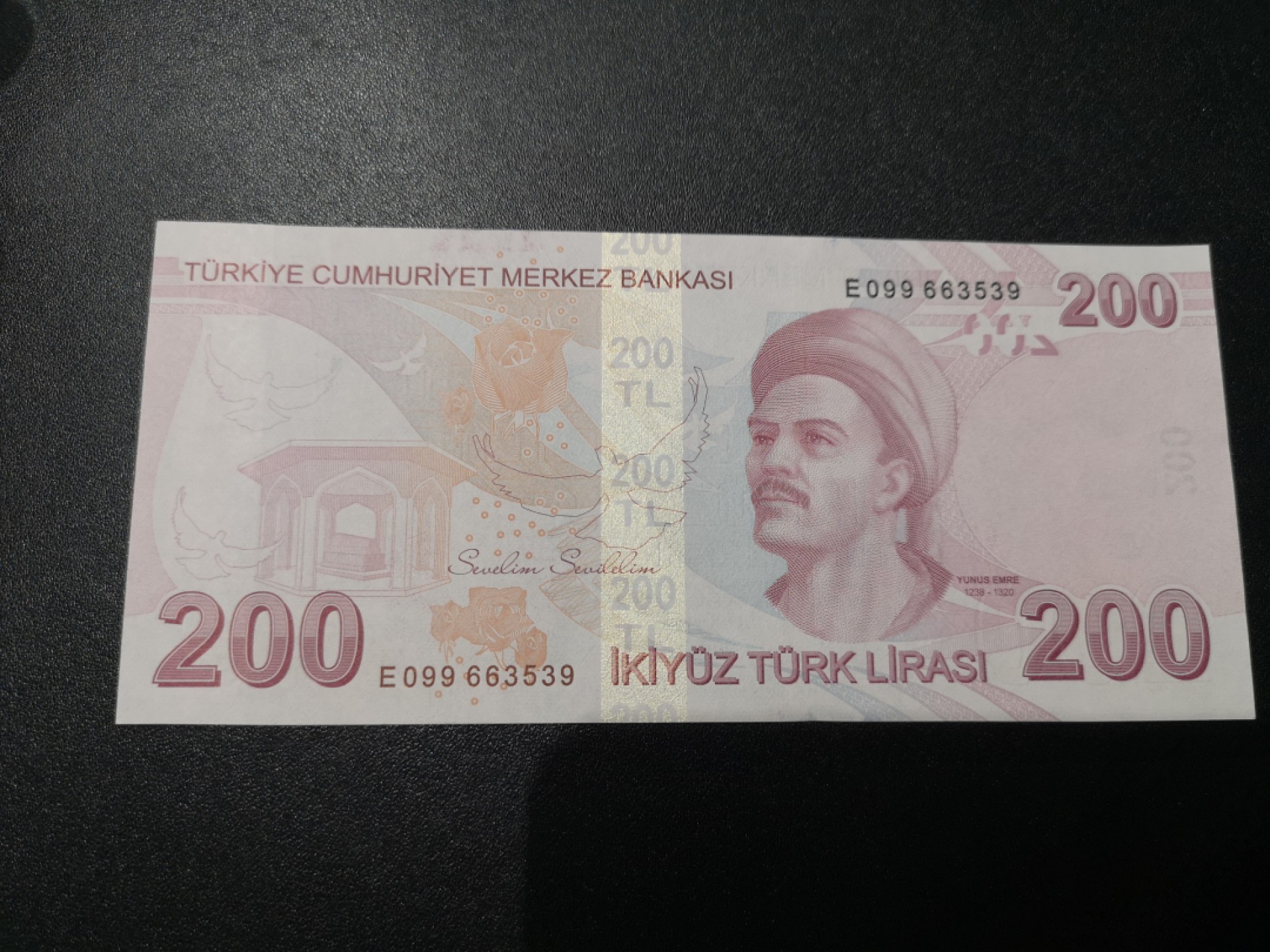 《外钞收藏家》第一百九十三期 土耳其2009年200里拉 unc