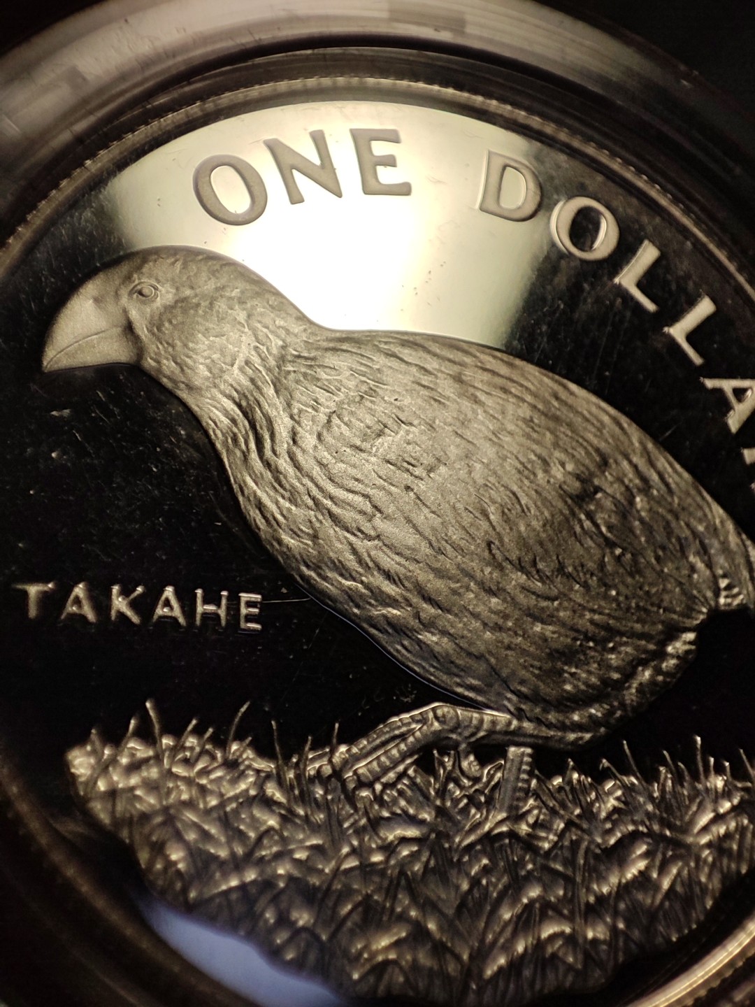 gush小明220805 原盒新西兰巨水鸡精制镜面银币