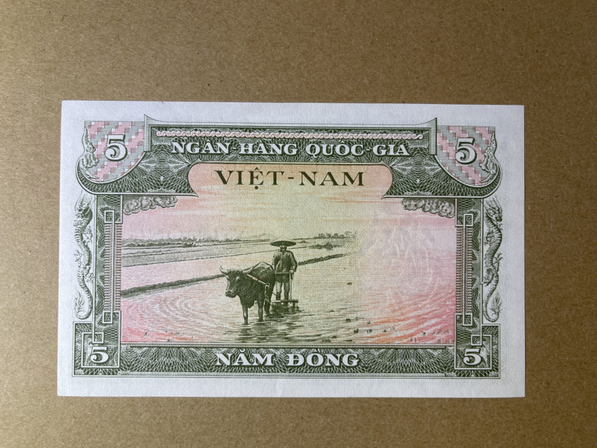 《张总收藏》67期——外币精品 越南5盾 UNC 南越1955年版
