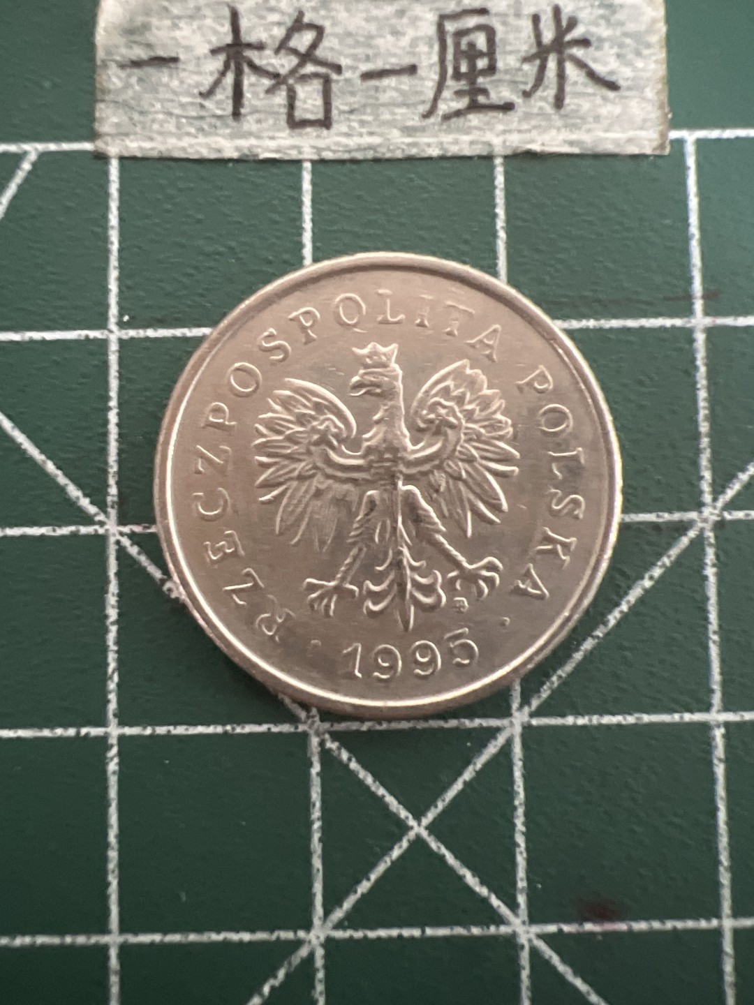 泡泡堂第四十七期  世界硬币纸币邮票专场（无押金，无佣金，捡漏，全场20包邮，偏远地区除外） 波兰一元