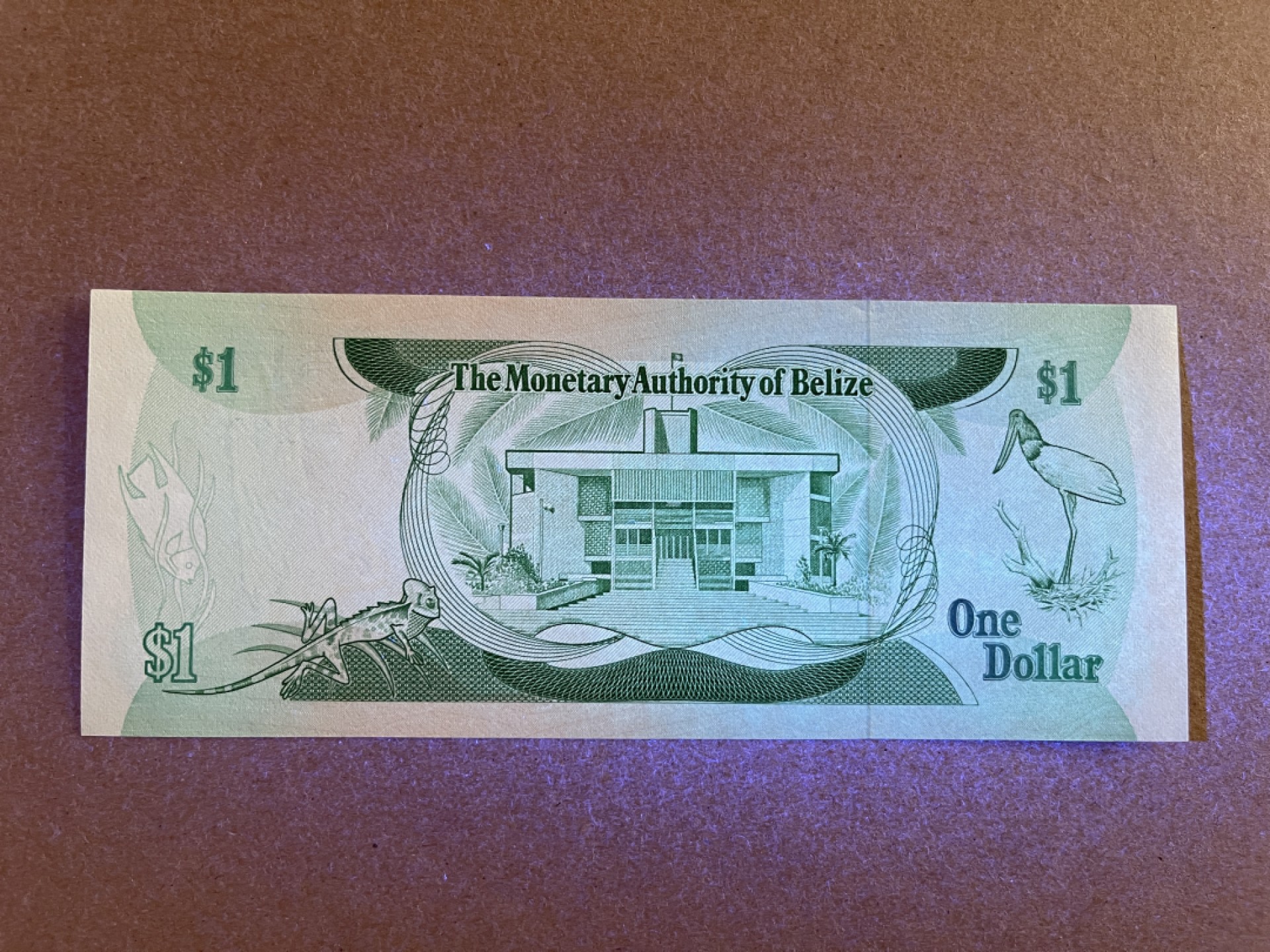 《张总收藏》67期——外币精品 伯利兹1元 UNC 1980年 女王钞