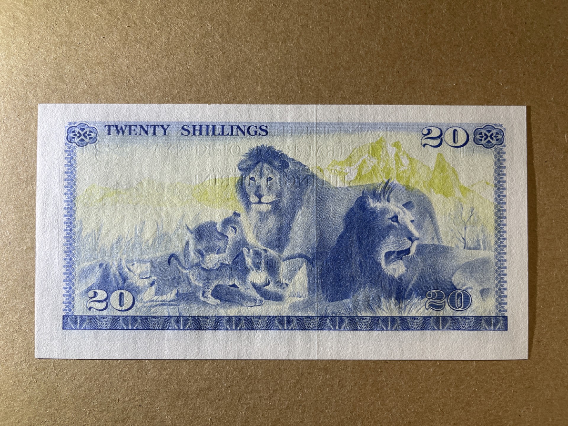 《张总收藏》67期——外币精品 肯尼亚20先令 UNC 1978年版