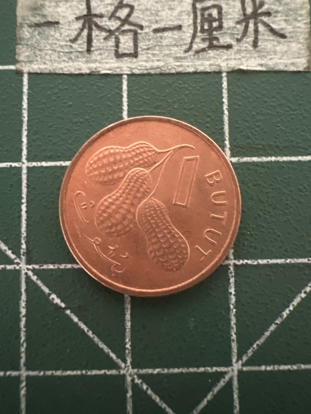 泡泡堂第四十八期  世界硬币邮票专场（无押金，无佣金，捡漏，全场20包邮，偏远地区除外） 冈比亚一布图