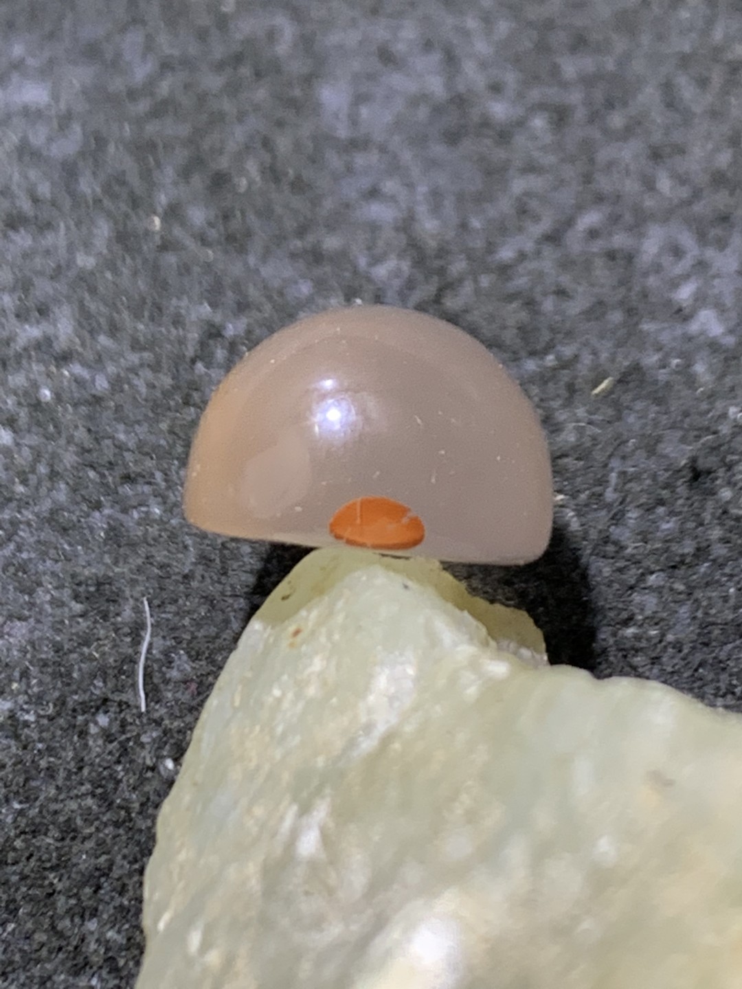 精美南红玛瑙荔枝冻飘红戒面一个，
