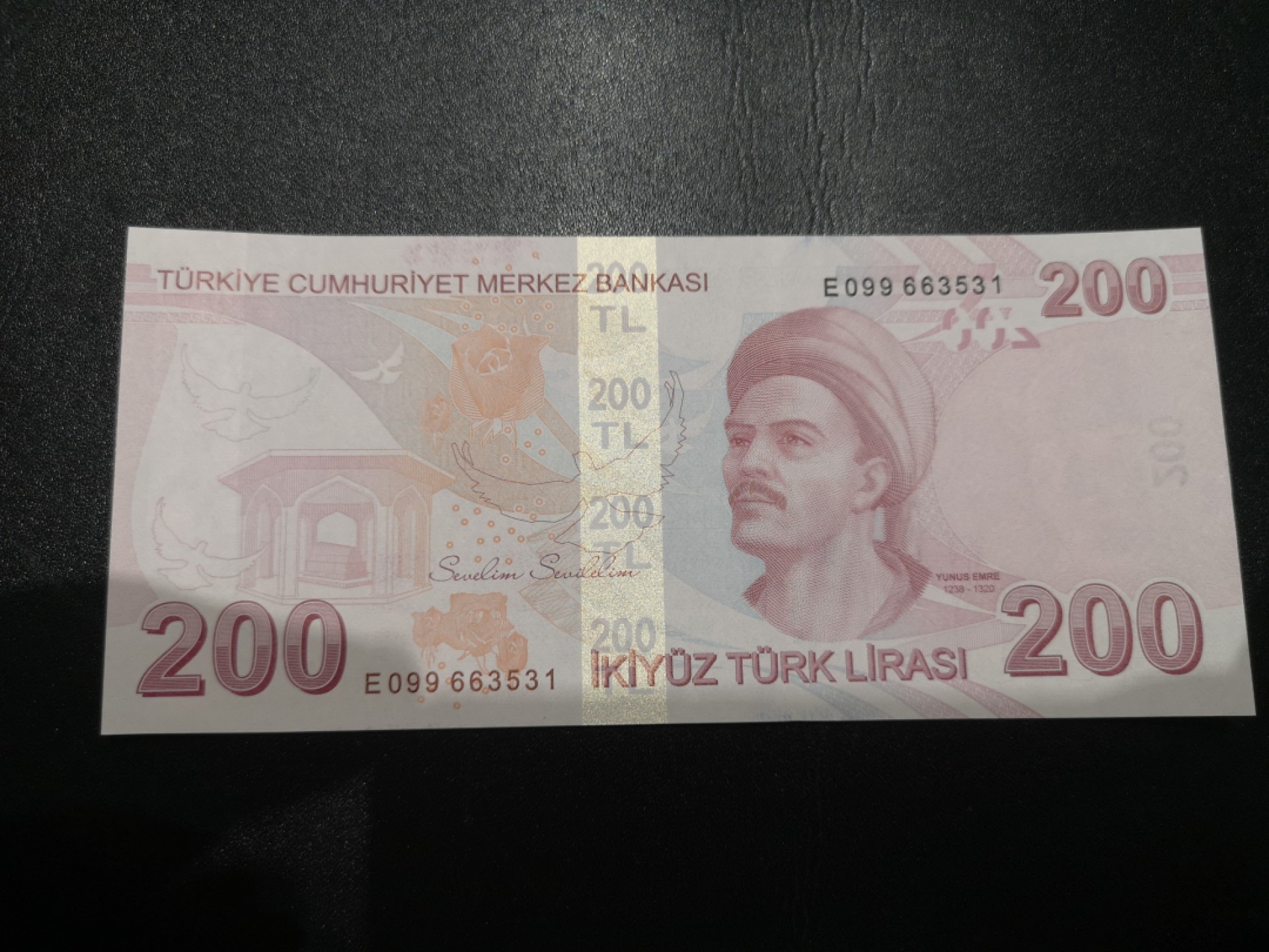 《外钞收藏家》第一百九十四期