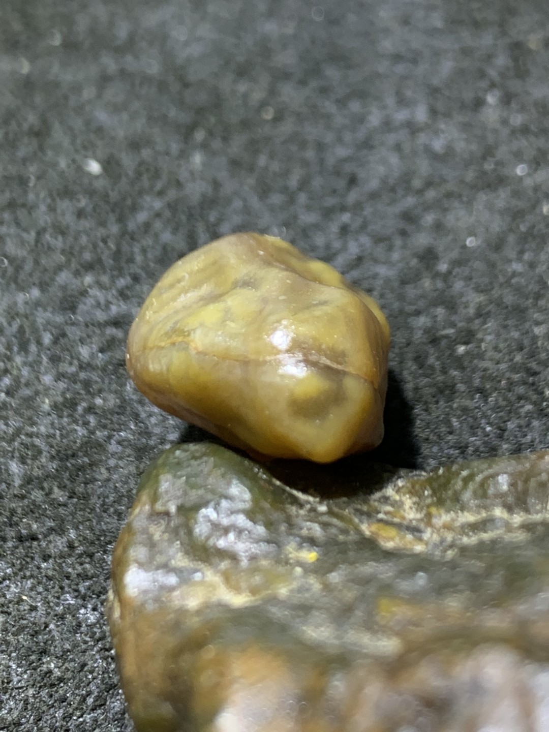精美戈壁筋脉石小原石一颗，