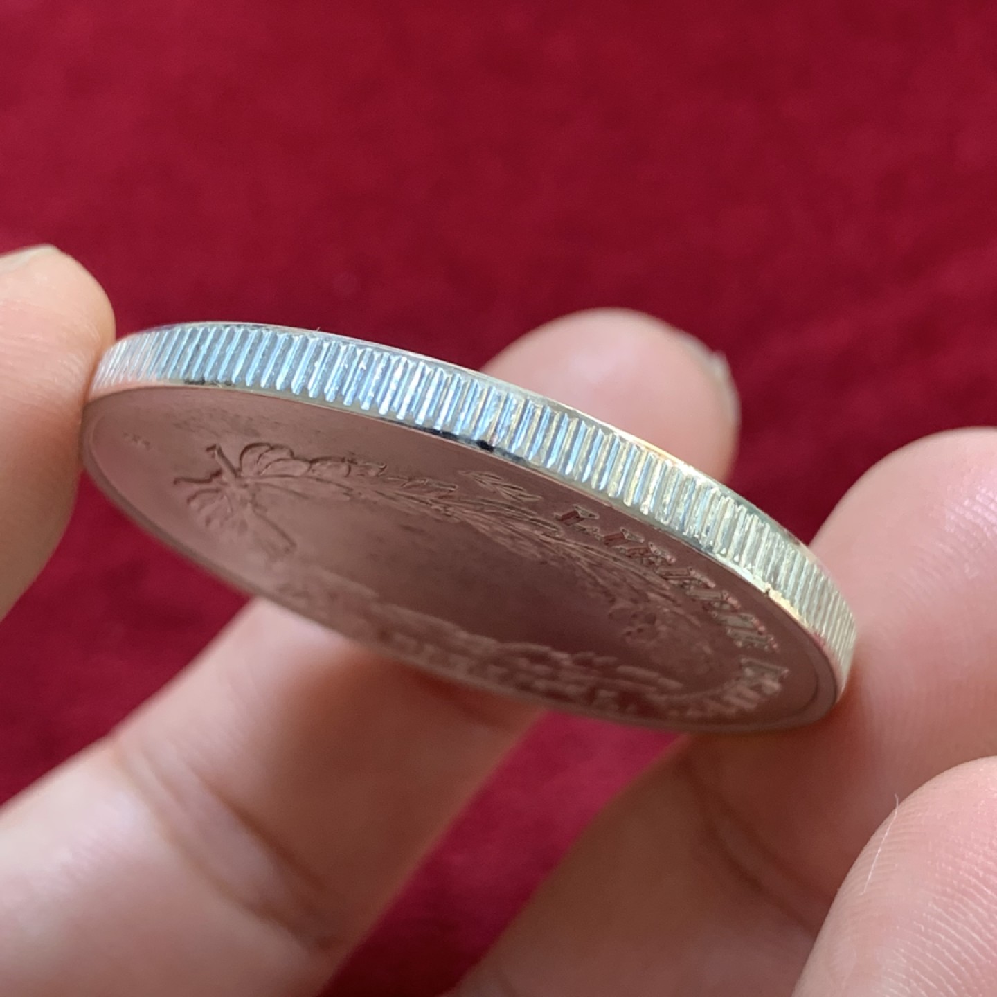 《竞宝斋》第83场-本周日，周一2场连拍（全场不限金额包邮） 法国 章 现代章 材质不明 40mm直径 30.1克 细节见图