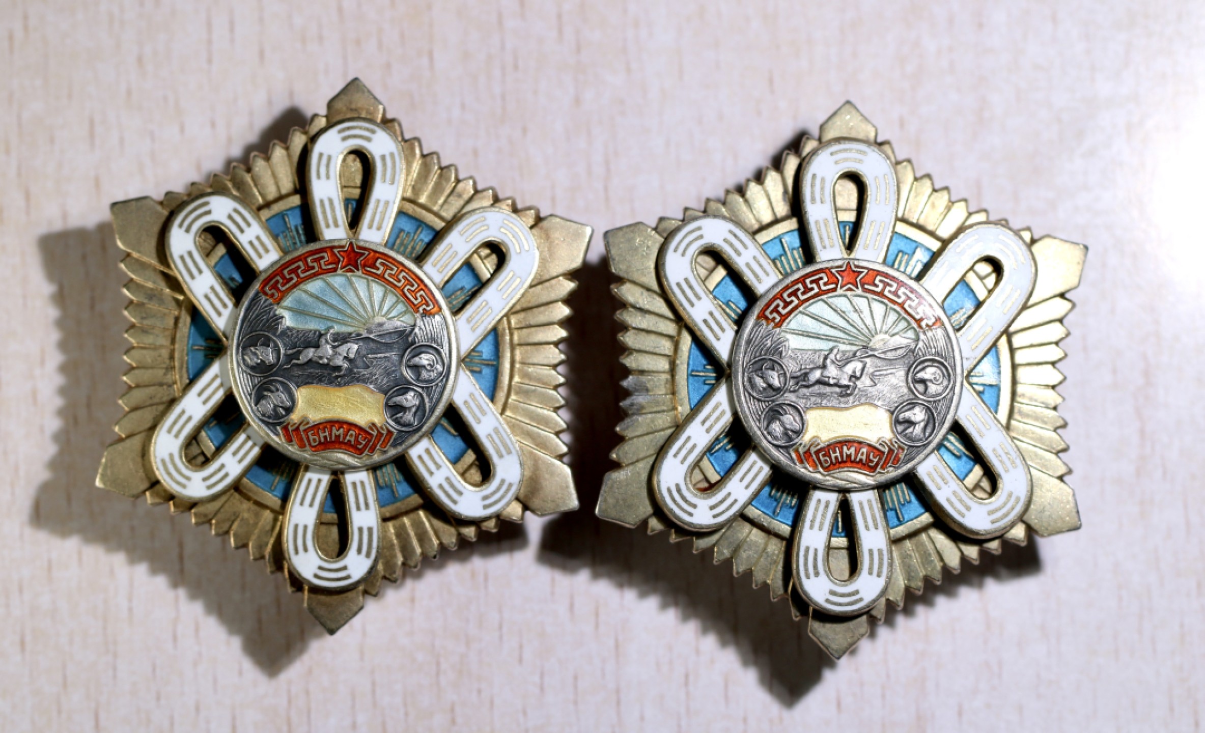 大猫徽章拍卖第199期  蒙古🇲🇳北极星勋章一对 轮版 杆有截