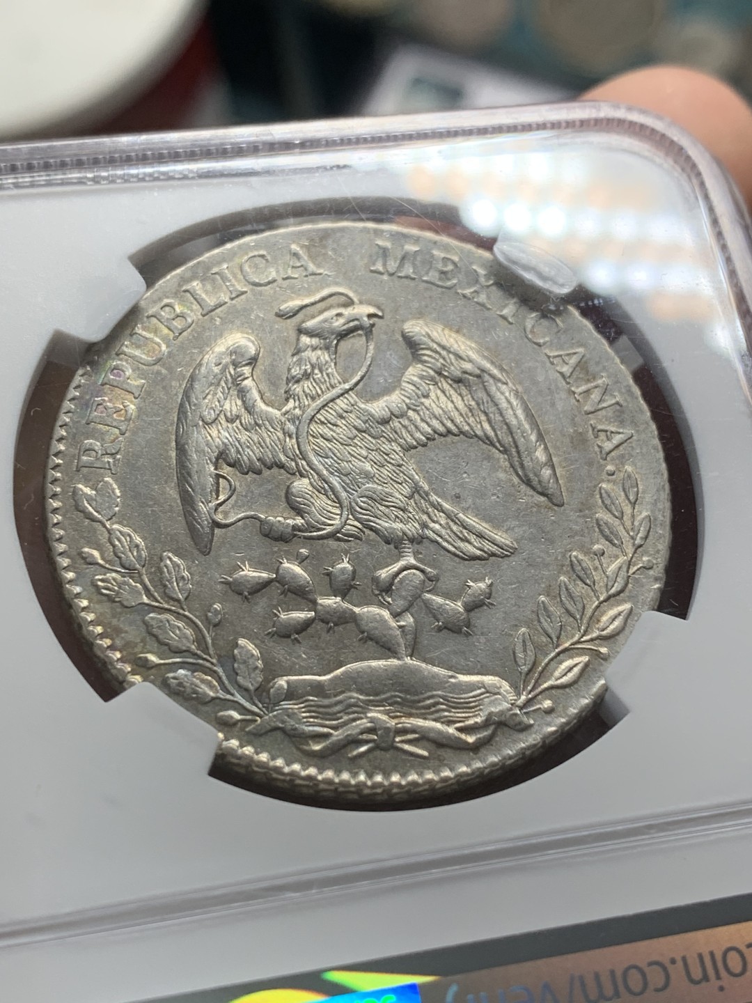 《竞宝斋》第84场-本周日，周一2场连拍（全场不限金额包邮） NGC-AU58 墨西哥 1884-Mo 8里亚尔 鹰洋 银币 光泽非常漂亮