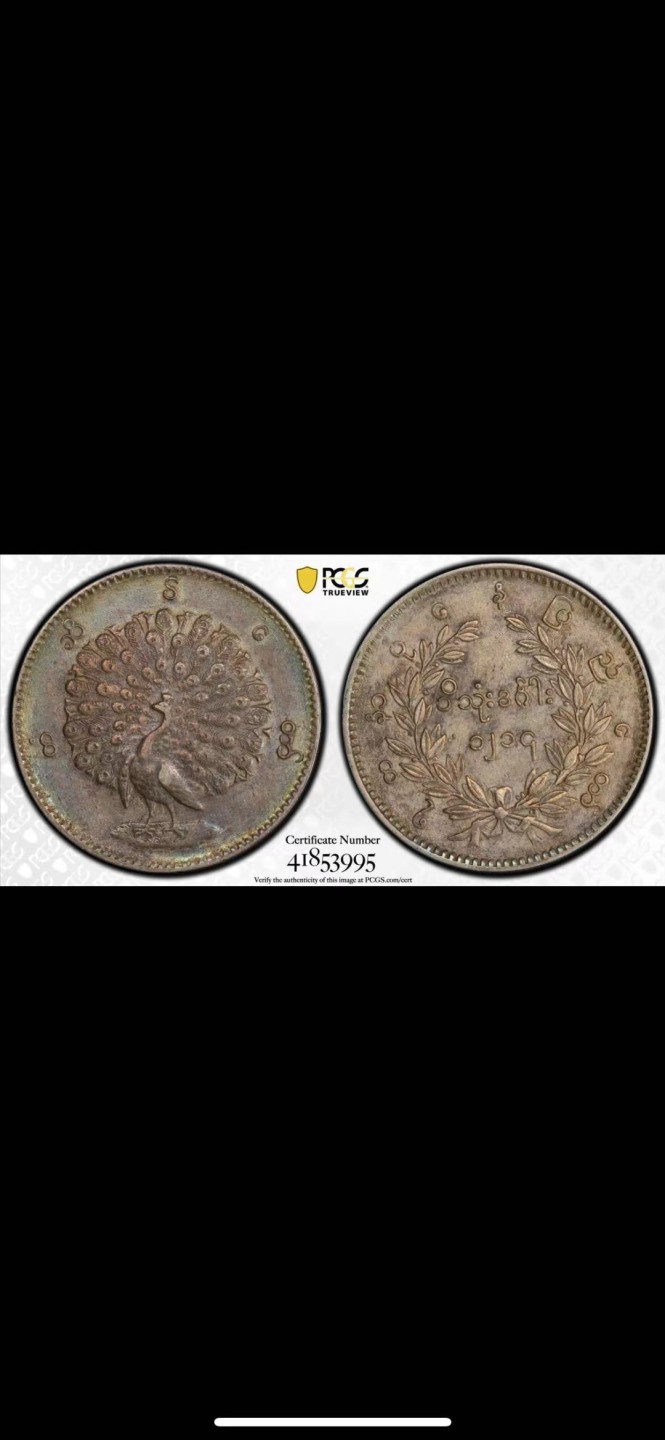 《竞宝斋》第84场-本周日，周一2场连拍（全场不限金额包邮） PCGS-53 缅甸1852年五彩孔雀缅元 眼睛极为清晰 羽毛丰满 状态难得，五月SBP50分2万人民币