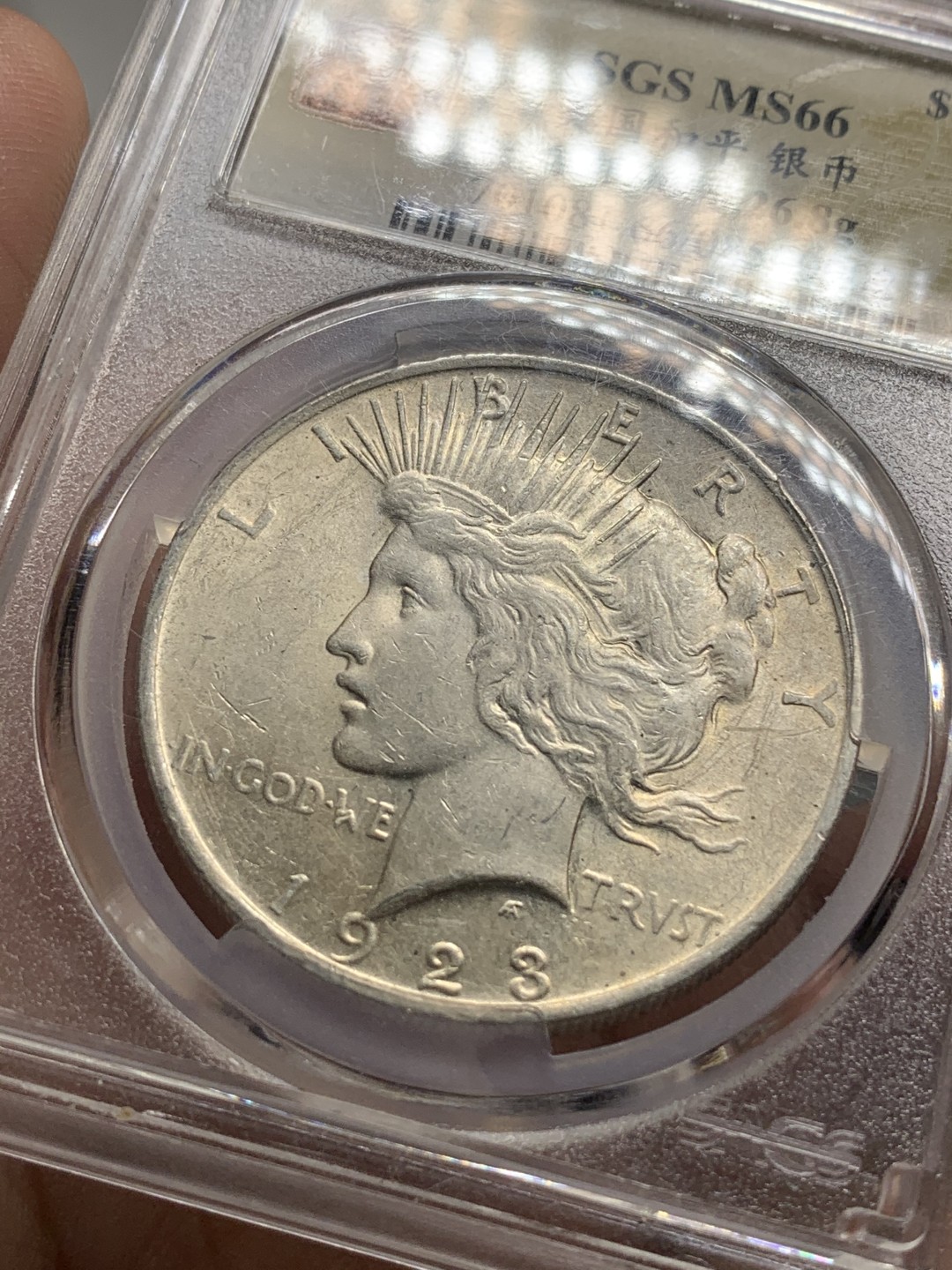 《竞宝斋》第84场-本周日，周一2场连拍（全场不限金额包邮） 美评-MS66 1923年 和平1美元 银币  