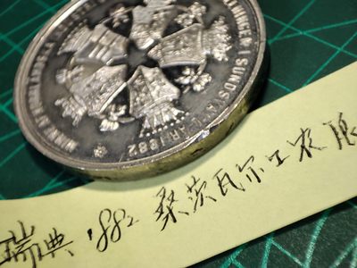 gush小明220811 瑞典1882博览会纪念章合金材质
