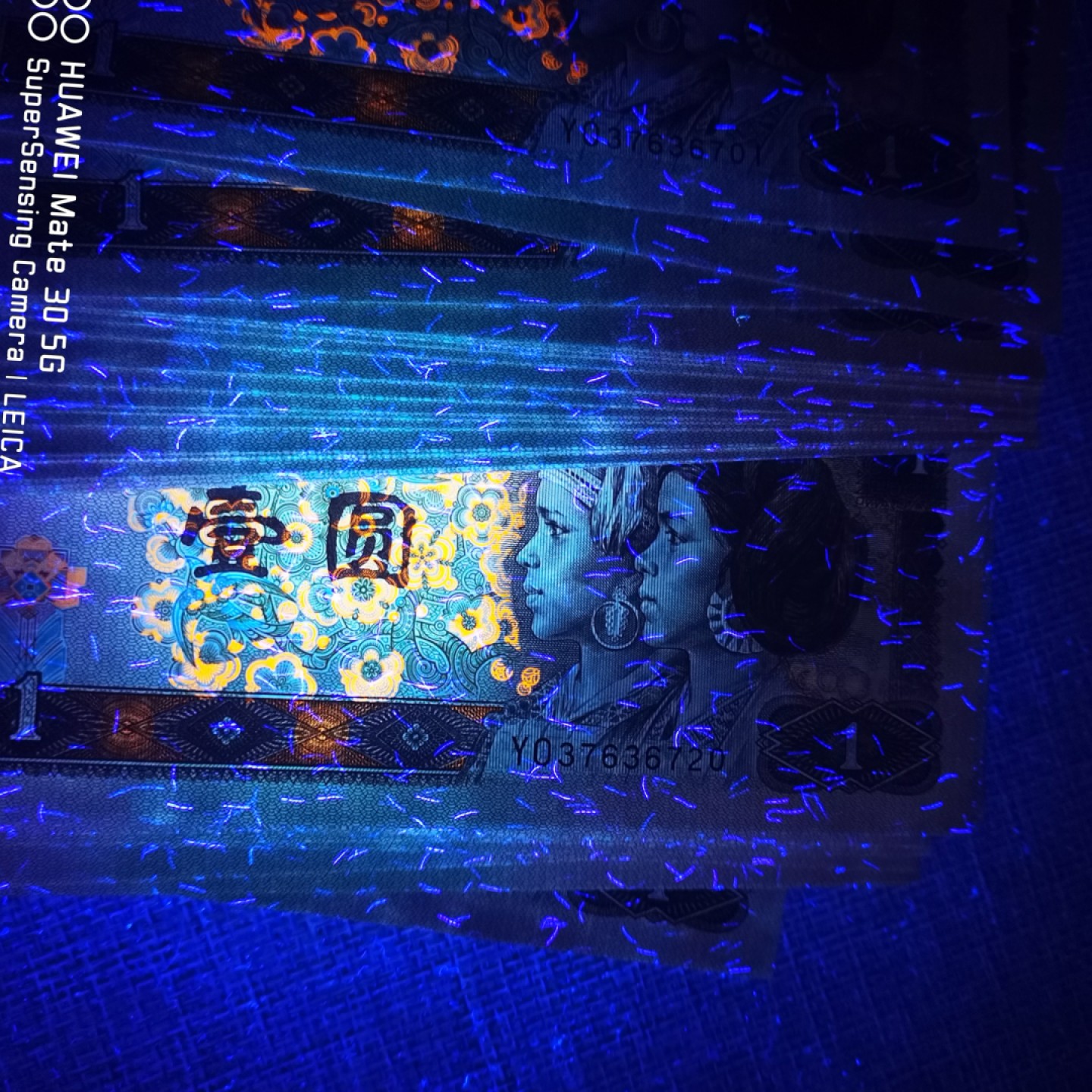  千家独有！YO超密丝世界里的极品！最新流水！YO3763闪亮登场！300丝上下的顶级货！十张有9张都是雷达号！老铁们自己看拍品实图，品相也难得的好！金字塔尖的明珠！仅有的一刀懒得评级了，因为张张都是顶级丝！运气好了甚至可以拍到330丝以上劳斯莱丝！而能够以捡漏价拥有如此高端货，且不断发现新流水的，唯有千家竞拍全世界最为纯净的拍场 YO超密丝世界里的顶端货！最新流水！YO37636731！雷达号！老铁们自己看实拍图，目测都在300丝上下！运气好了甚至可以拍到330丝以上的劳斯莱丝！超密丝里的最亮桃花，品相也难得的好！拥有他，是你在千家竞拍才有的幸福！