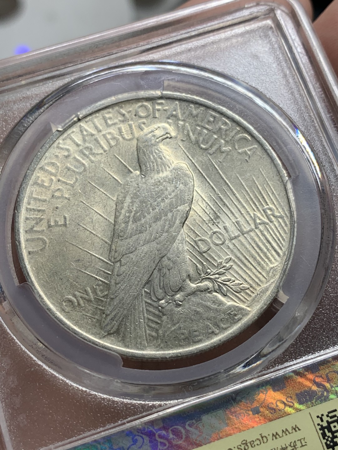 《竞宝斋》第84场-本周日，周一2场连拍（全场不限金额包邮） 美评-MS66 1923年 和平1美元 银币  