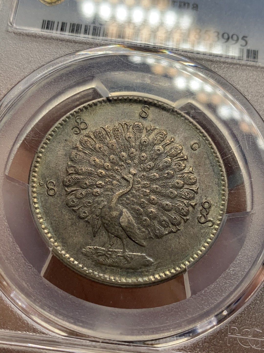 《竞宝斋》第84场-本周日，周一2场连拍（全场不限金额包邮） PCGS-53 缅甸1852年五彩孔雀缅元 眼睛极为清晰 羽毛丰满 状态难得，五月SBP50分2万人民币