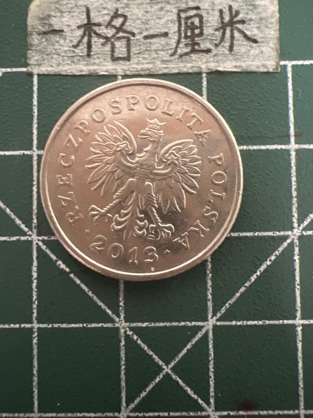 泡泡堂第五十期  世界硬币纸币专场（无押金，无佣金，捡漏，全场20包邮，偏远地区除外） 波兰1ZT