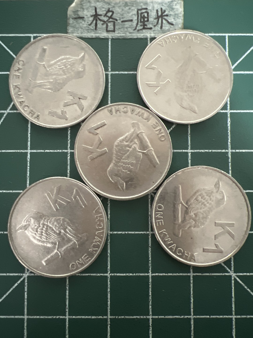 泡泡堂第六十九期  世界硬币邮票专场（无押金，无佣金，捡漏，全场20包邮，偏远地区除外） 赞比亚1元五个