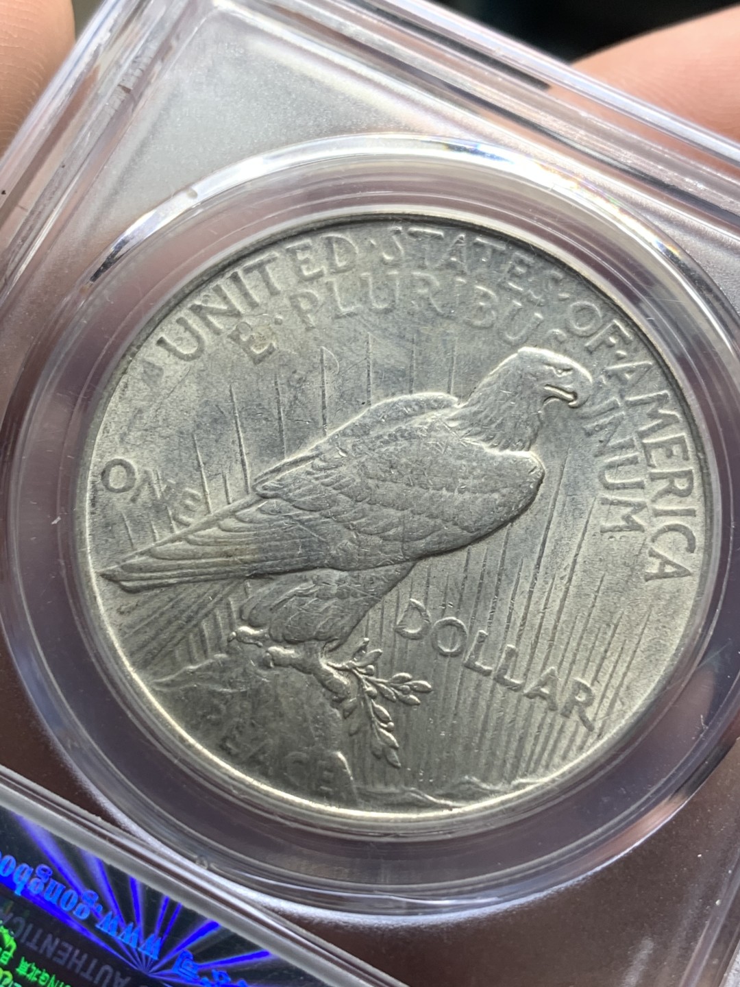 《竞宝斋》第84场-本周日，周一2场连拍（全场不限金额包邮） 公博-MS64 美国 1922年 和平1美元 银币 