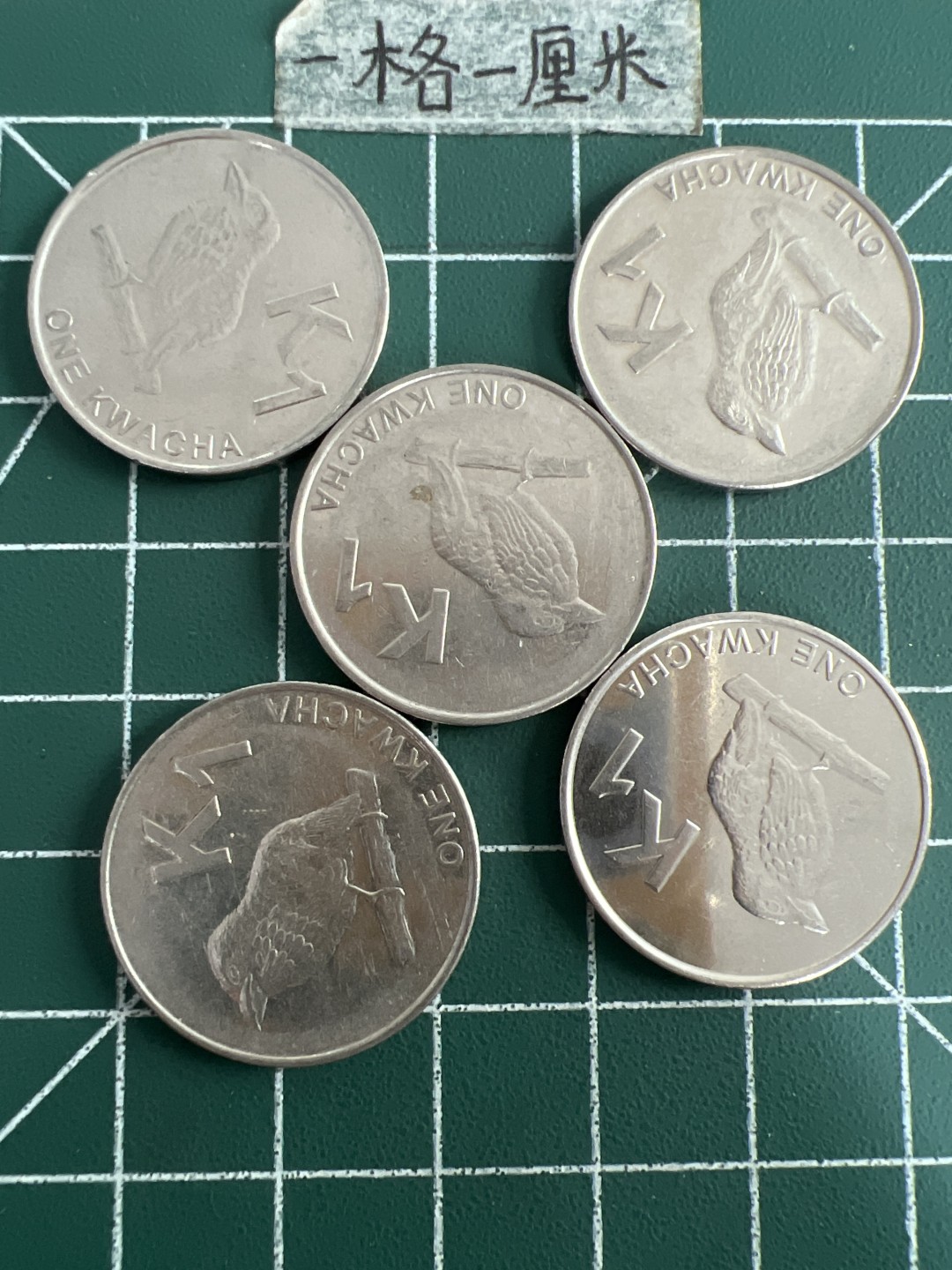 泡泡堂第六十九期  世界硬币邮票专场（无押金，无佣金，捡漏，全场20包邮，偏远地区除外） 赞比亚一元五个