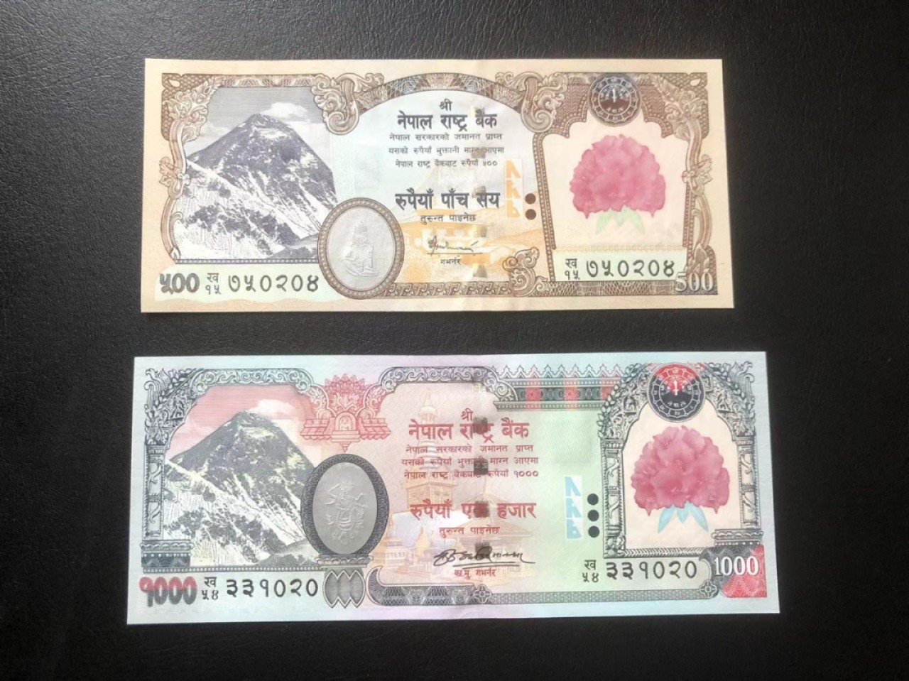 【Blue Auction】✨世界纸币精拍第213期 【精】 【红花版 一组2张】尼泊尔 500～1000卢比一组 全新UNC