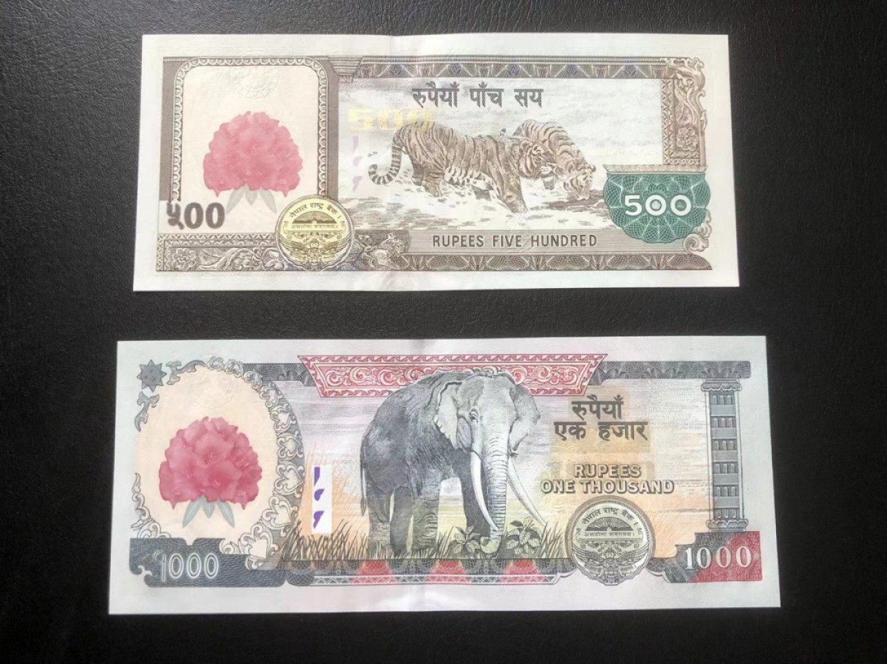 【Blue Auction】✨世界纸币精拍第213期 【精】 【红花版 一组2张】尼泊尔 500～1000卢比一组 全新UNC