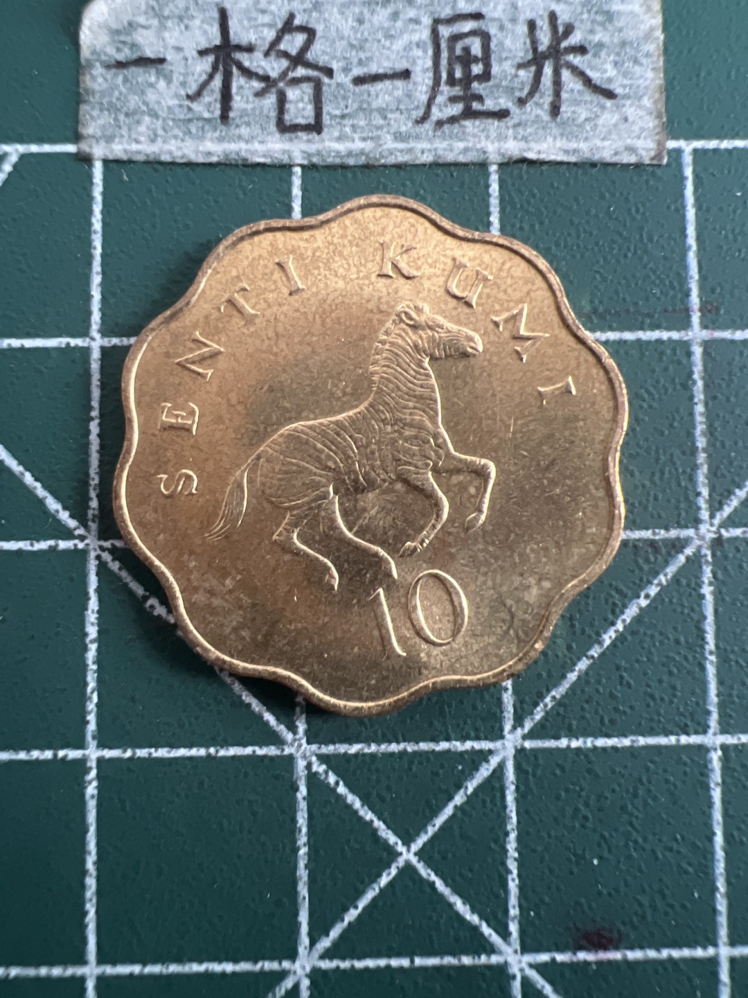 泡泡堂第六十三期  世界硬币纸币专场（无押金，无佣金，捡漏，全场20包邮，偏远地区除外） 坦桑尼亚全新