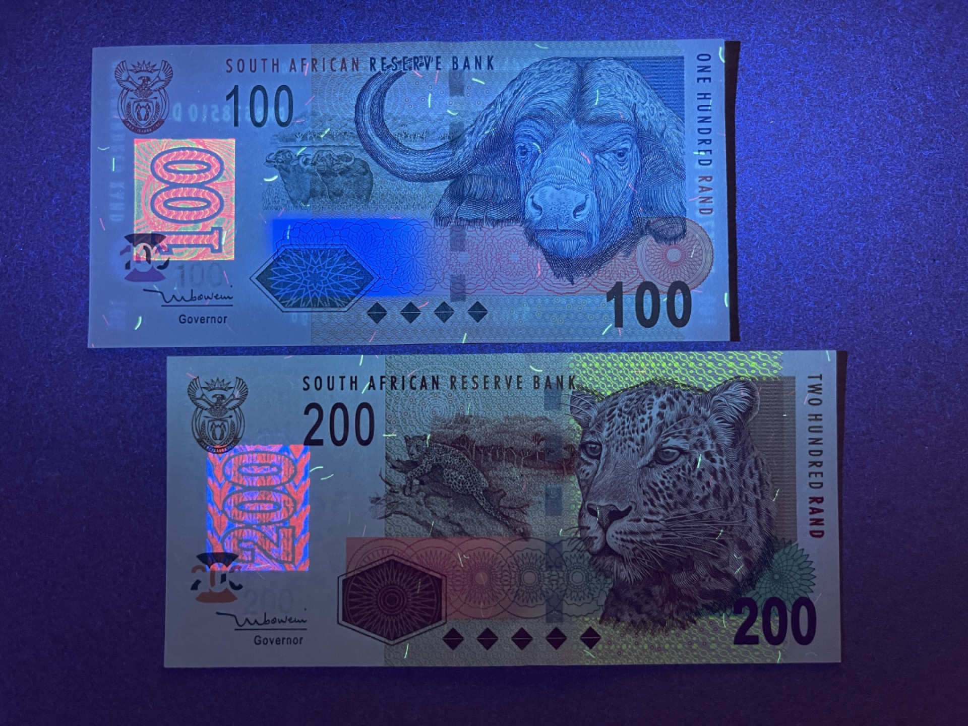 《张总收藏》68期——冠军分 南非100、200兰特2张 UNC 2005年 水牛和豹子